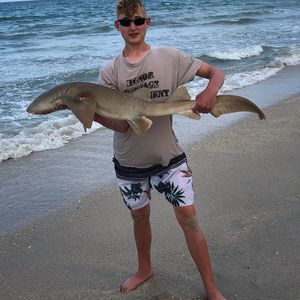 Meet your Posher, Austin